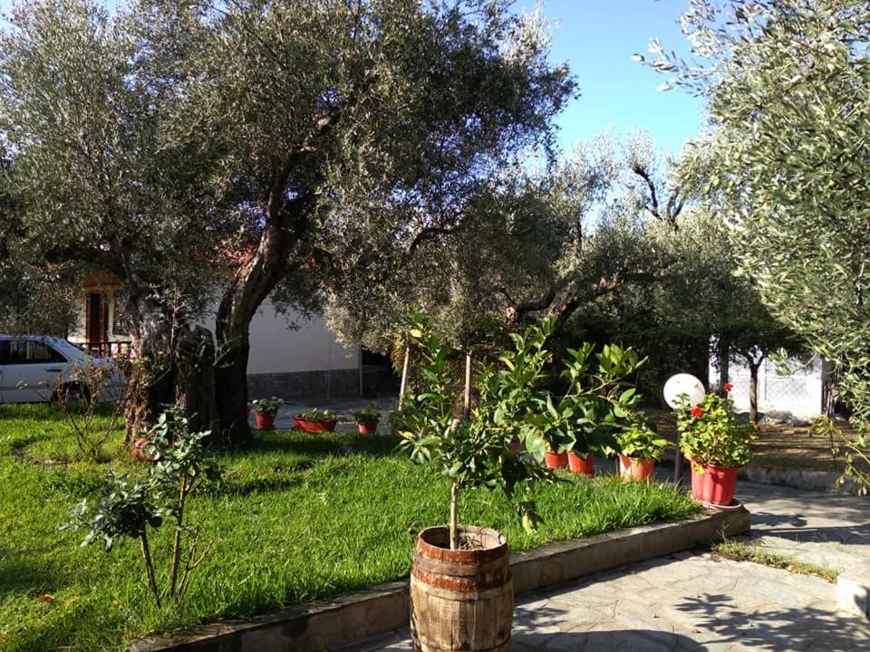 Villa Asimidou Agia Paraskevi  외부 사진