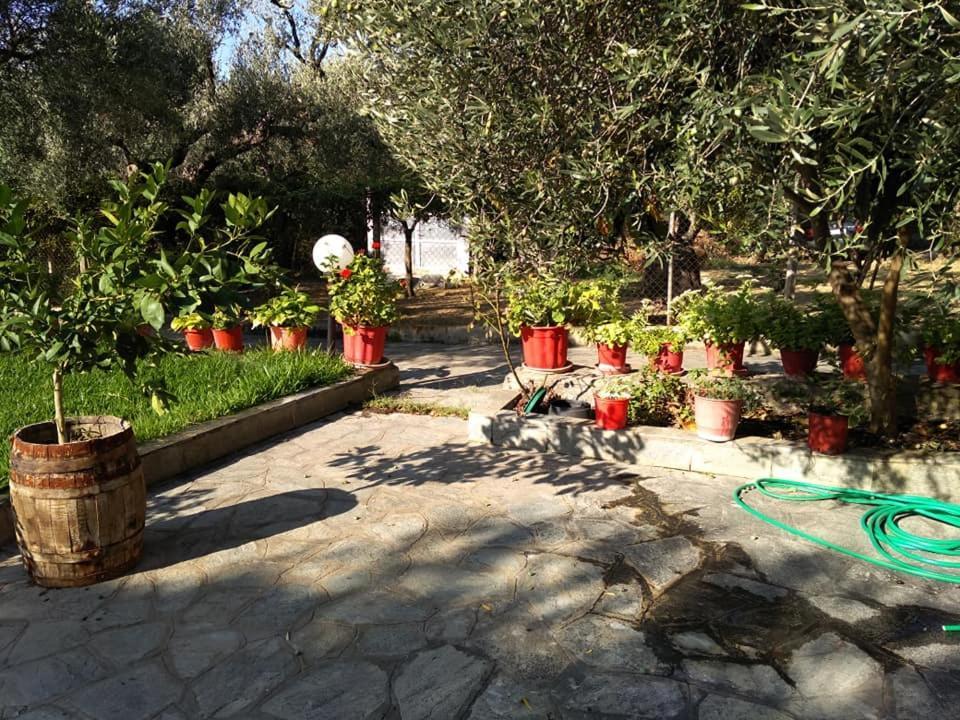 Villa Asimidou Agia Paraskevi  외부 사진