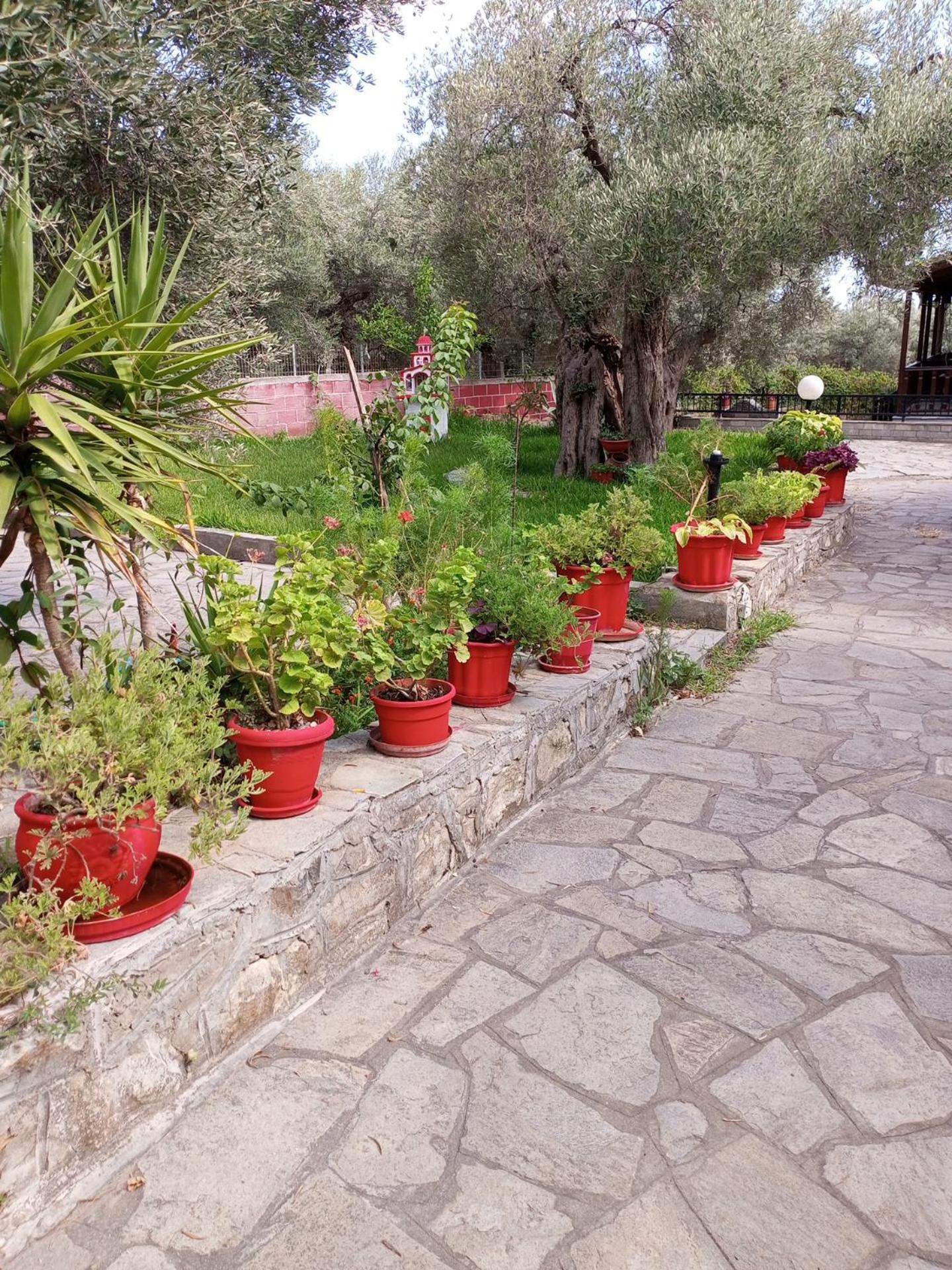 Villa Asimidou Agia Paraskevi  외부 사진