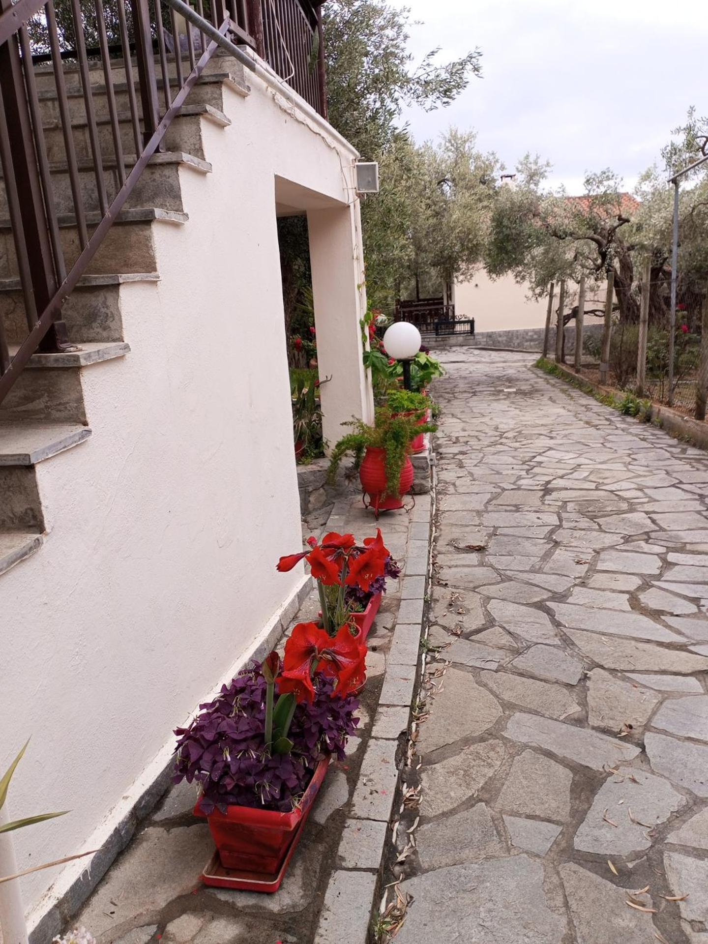 Villa Asimidou Agia Paraskevi  외부 사진
