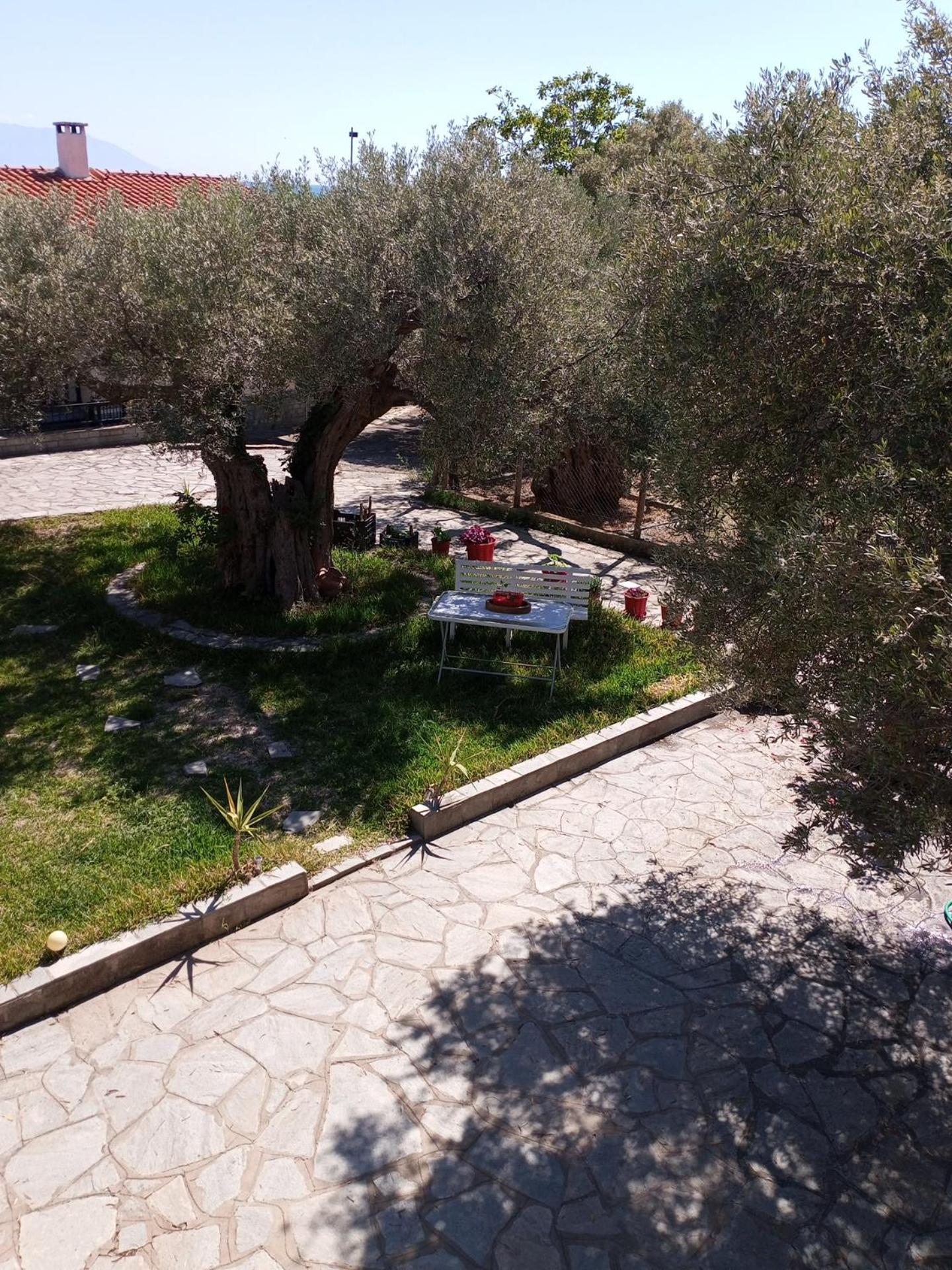Villa Asimidou Agia Paraskevi  외부 사진